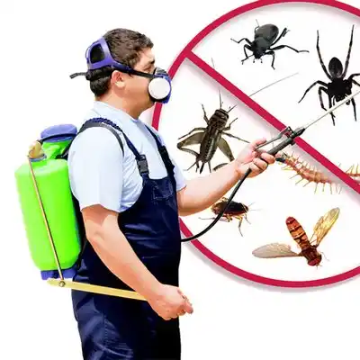pest control Merryville